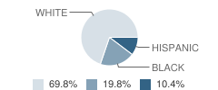 The Rugby School Student Race Distribution