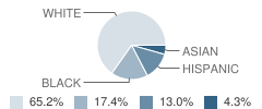 Excel Learning Center Inc School Student Race Distribution