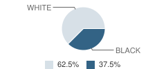 Corporate Toddlers School Student Race Distribution