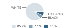 Ivy Leaf School Student Race Distribution