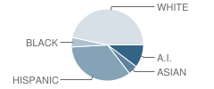 Our Montessori School Student Race Distribution