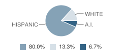 Victory Christian Academy Student Race Distribution