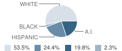 Yaxche Learning Center School Student Race Distribution