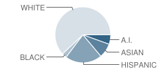 Manzano Day School Student Race Distribution