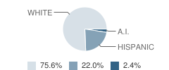 Santa Fe Girls' School Student Race Distribution