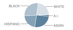 Sierra Nevada High School Student Race Distribution