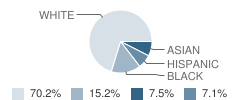 Albertus Magnus High School Student Race Distribution