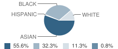 Annur Islamic School Student Race Distribution