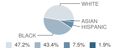 Babylon Christian School Student Race Distribution