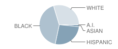 Blessed Sacrament St Gabriel High School Student Race Distribution