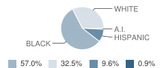 Cantalician Center for Learning School Student Race Distribution