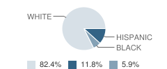 Long Island Baptist Academy Student Race Distribution