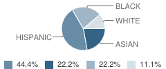 Flushing / Ymca Early Childhood Daycare School Student Race Distribution