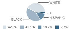 Gustavus Adolphus Learning Center School Student Race Distribution