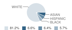 Holy Family School Student Race Distribution