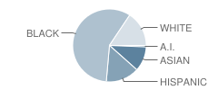 Holy Family School Student Race Distribution