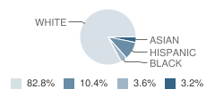 Holy Trinity School Student Race Distribution