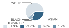 Hoosac School Student Race Distribution