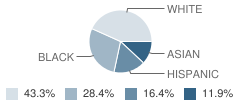 International Christian School Student Race Distribution