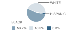 Lyceum Kennedy School Student Race Distribution