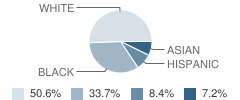 Mt St Joseph Academy Student Race Distribution