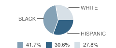 Nysarc-Orange Inc. School Student Race Distribution