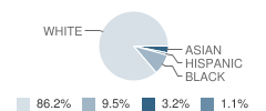 Holy Child Academy Student Race Distribution