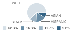 St Athanasius Elementary School Student Race Distribution