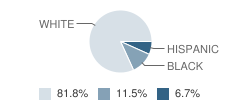 St Dominic High School Student Race Distribution