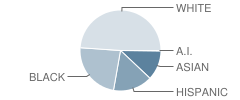 St Edmund Elementary School Student Race Distribution