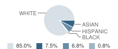 St John of Rochester School Student Race Distribution