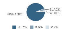 St Leo Elementary School Student Race Distribution