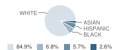 St Peters Boys High School Student Race Distribution