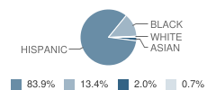 St Peter's School Student Race Distribution