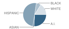 Maria Montessori School Student Race Distribution