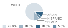 The New School Student Race Distribution