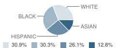 St Sylvester School Student Race Distribution