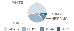 Village Lutheran & the Chapel School Student Race Distribution