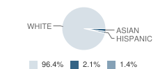 Solomon Schechter School-Westchtr-Lower Student Race Distribution