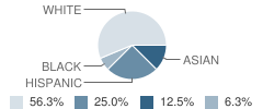 The Renaissance School for Children Student Race Distribution