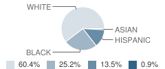 The Lowell School Student Race Distribution