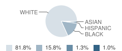 Holy Angels Elementary School Student Race Distribution