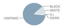 Holy Trinity School Student Race Distribution