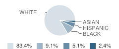 Notre Dame Academy Student Race Distribution