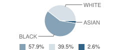 Ohio Valley Voices School Student Race Distribution