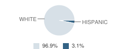 Our Lady of Consolation School Student Race Distribution