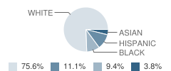 Our Lady of the Rosary School Student Race Distribution