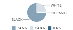 St Boniface Elementary School Student Race Distribution