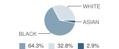 St Clare Elementary School Student Race Distribution