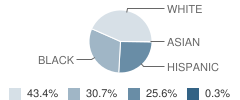 St James the Less School Student Race Distribution